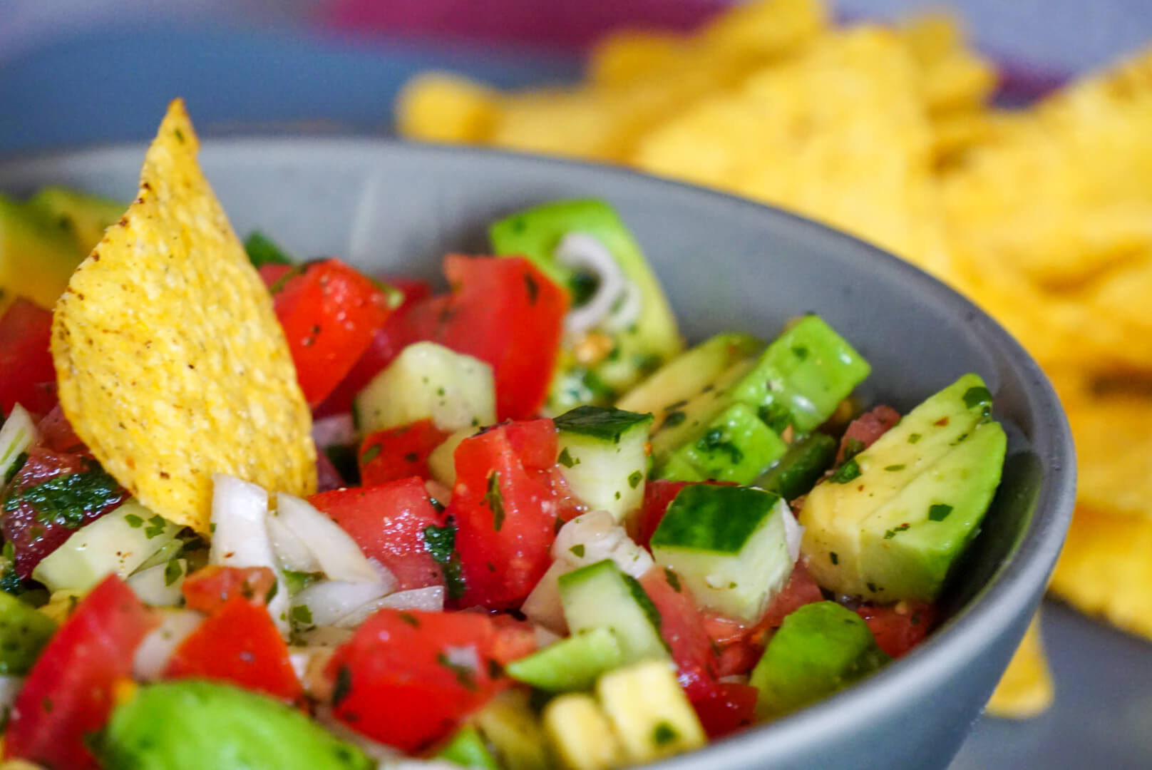 Schale mit Pico de Gallo aus Avocado, Tomaten, Gurkem und Chili